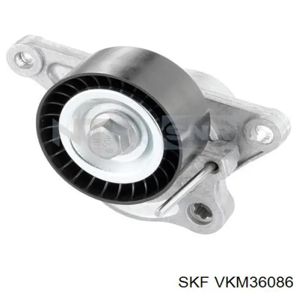 VKM36086 SKF tensor de correa, correa poli v