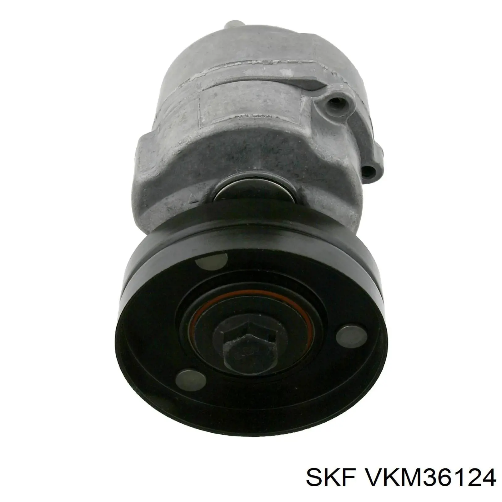 VKM 36124 SKF tensor de correa, correa poli v