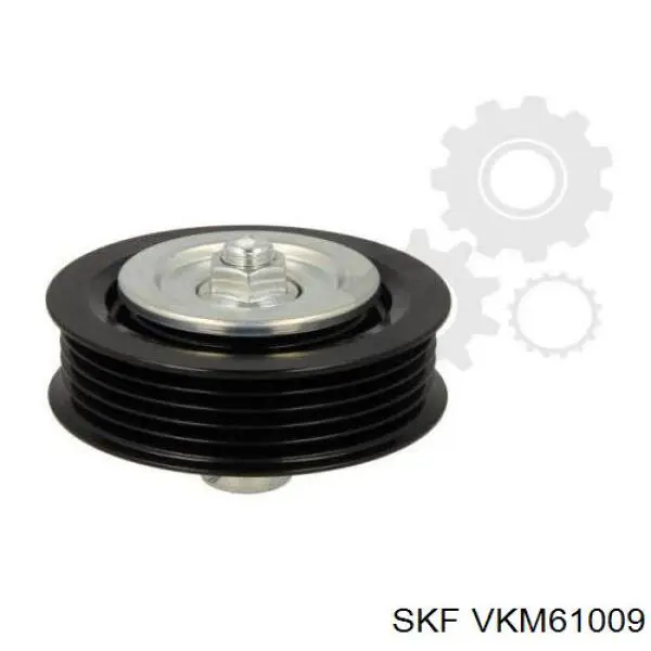 VKM61009 SKF 