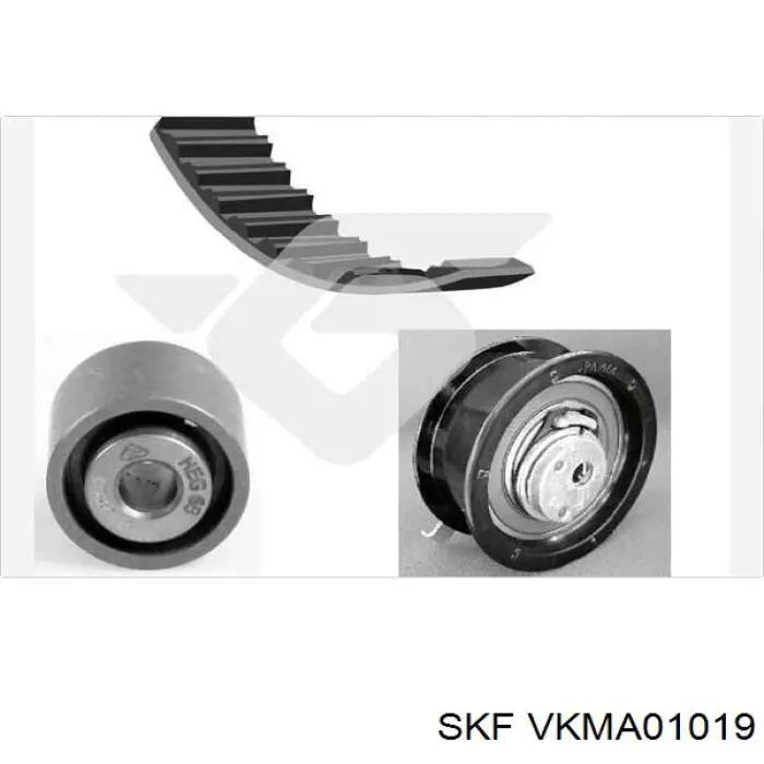 VKMA 01019 SKF kit correa de distribución