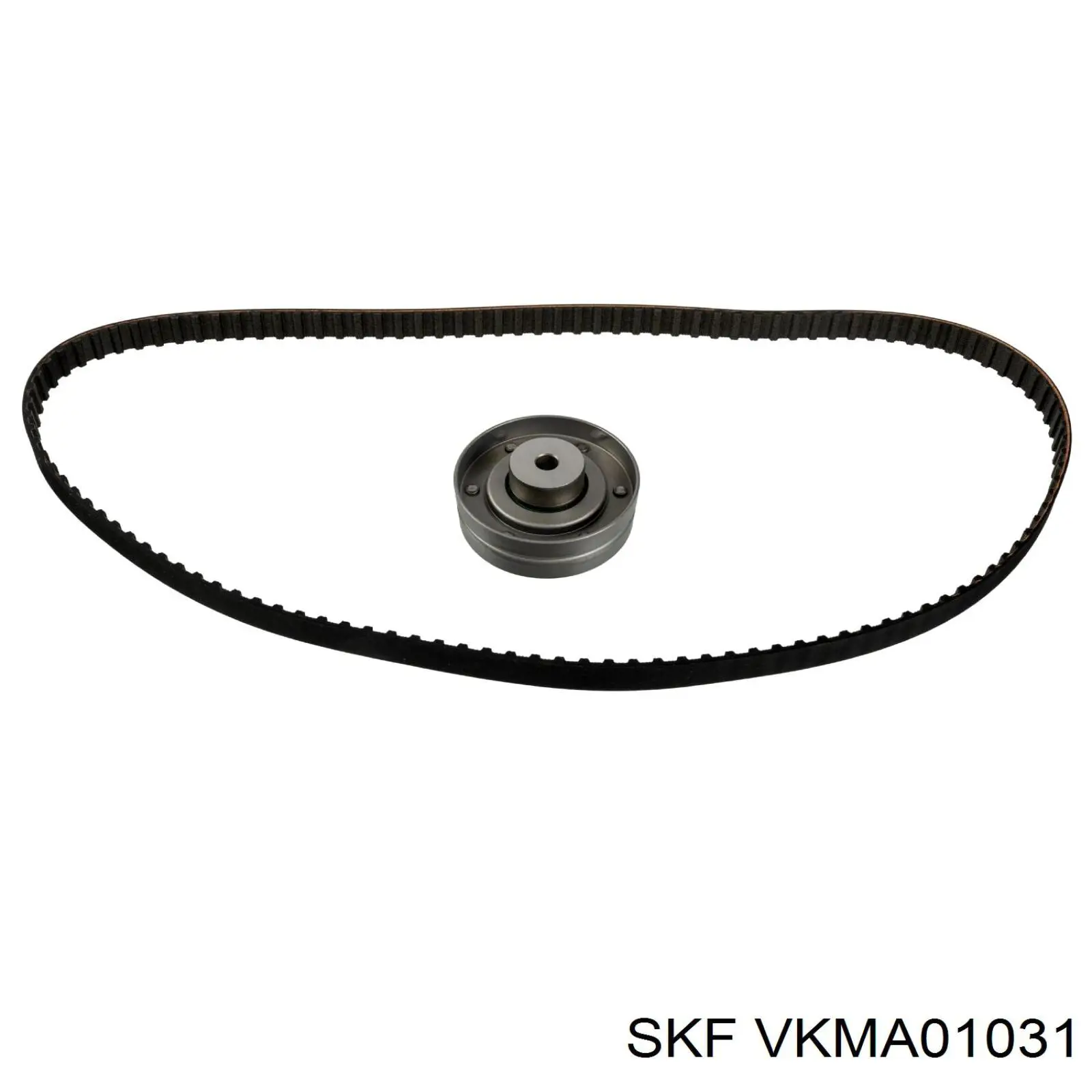 VKMA01031 SKF kit correa de distribución