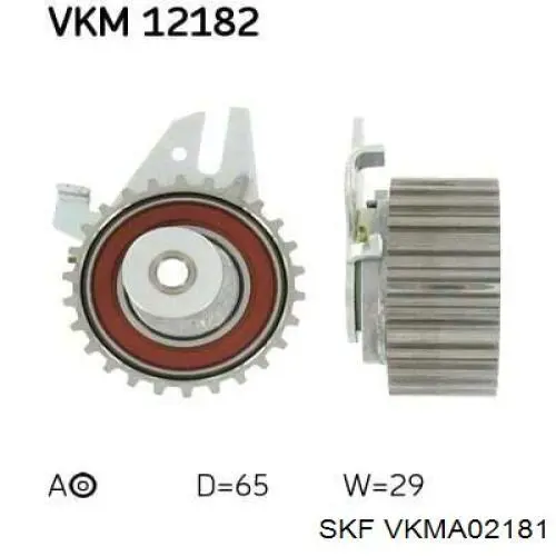 VKMA02181 SKF kit correa de distribución