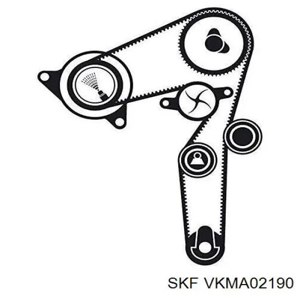 VKMA 02190 SKF kit correa de distribución