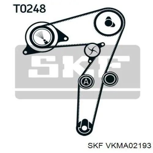 VKMA 02193 SKF kit correa de distribución