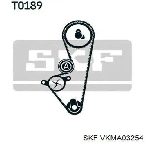 VKMA 03254 SKF kit correa de distribución