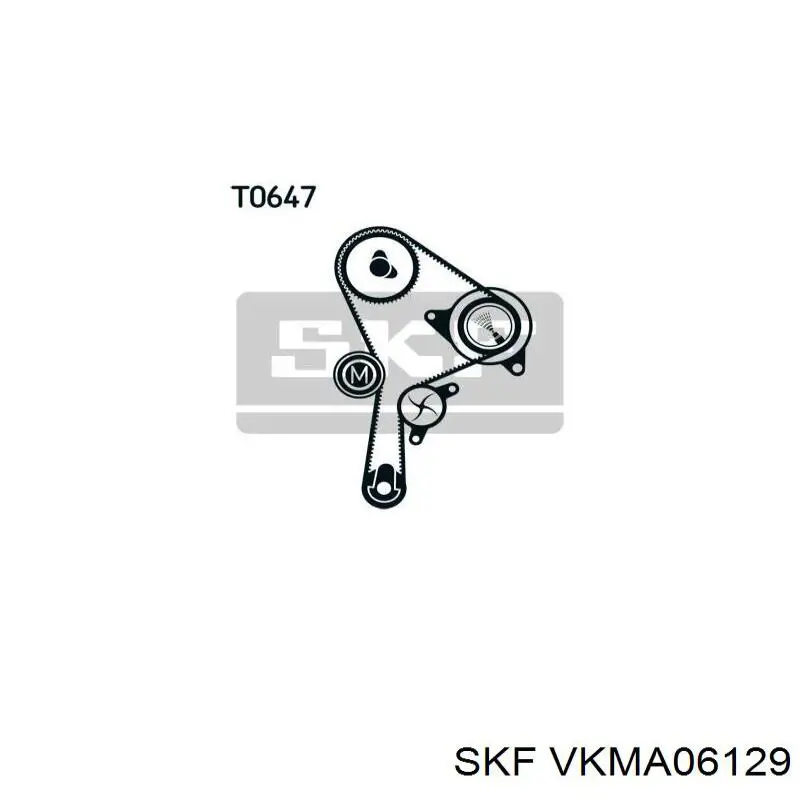 VKMA 06129 SKF kit correa de distribución