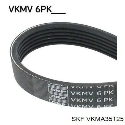 VKMA 35125 SKF correa de transmision, juego completo