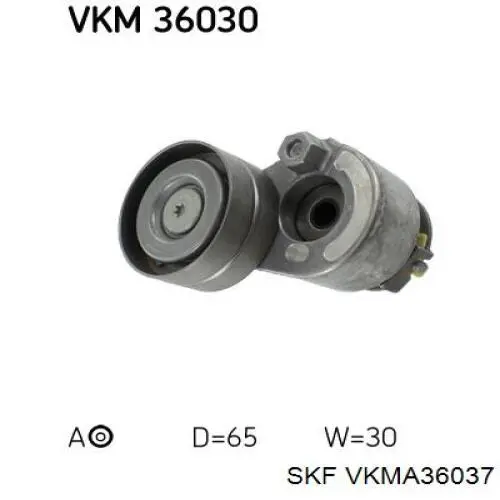 VKMA 36037 SKF correa de transmision, juego completo