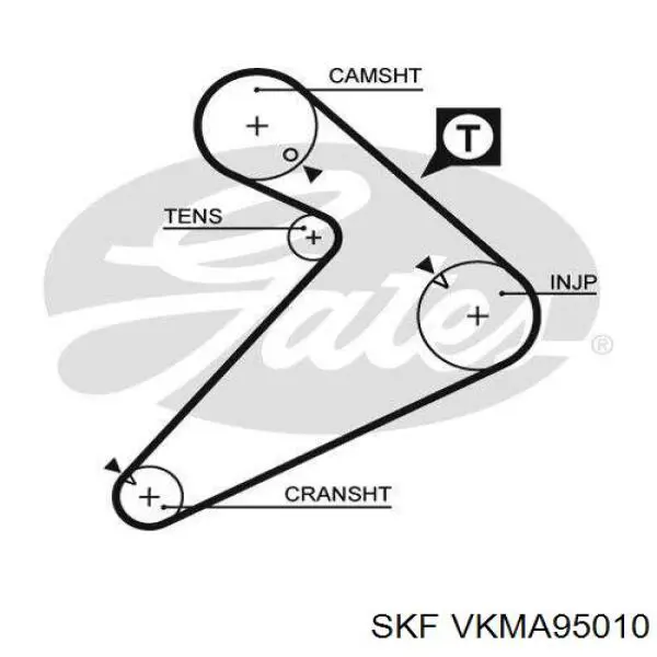 VKMA 95010 SKF kit correa de distribución