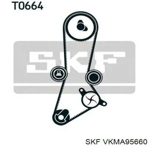 VKMA 95660 SKF kit correa de distribución