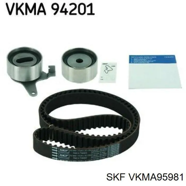 VKMA95981 SKF kit correa de distribución