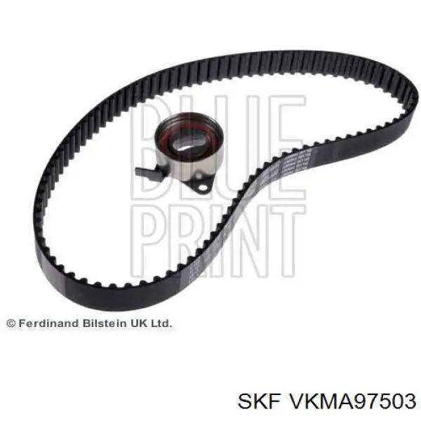 VKMA 97503 SKF kit correa de distribución