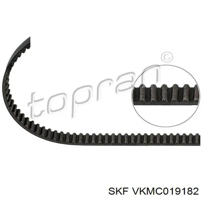 VKMC 01918-2 SKF kit correa de distribución