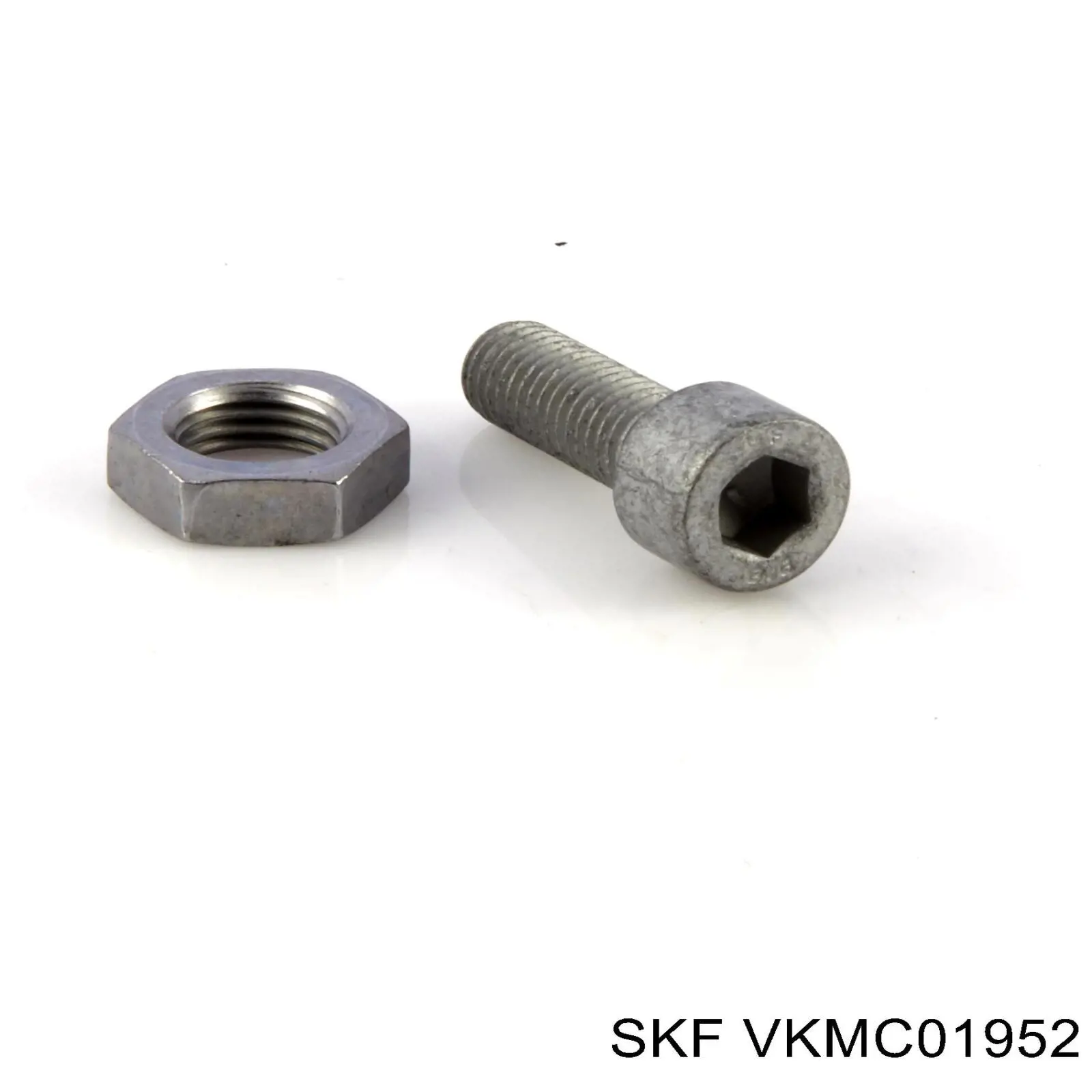 VKMC01952 SKF kit correa de distribución