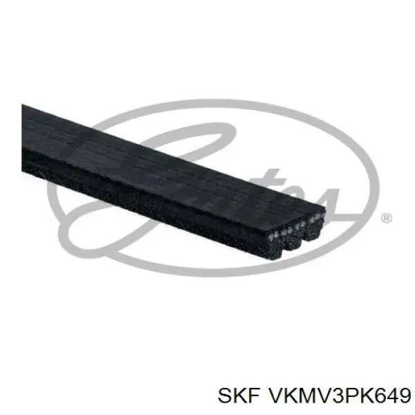 VKMV3PK649 SKF correa trapezoidal