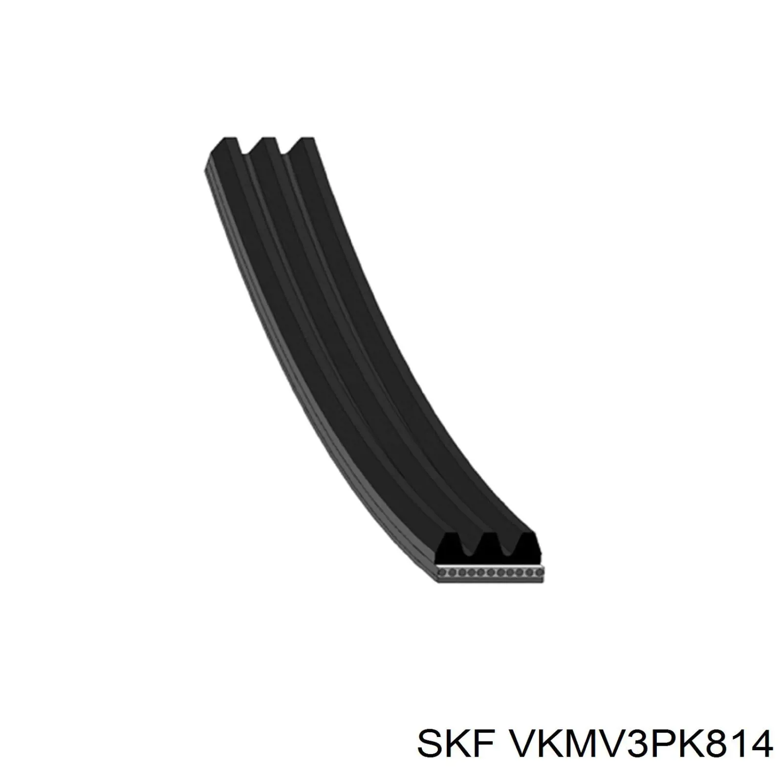 VKMV3PK814 SKF correa trapezoidal