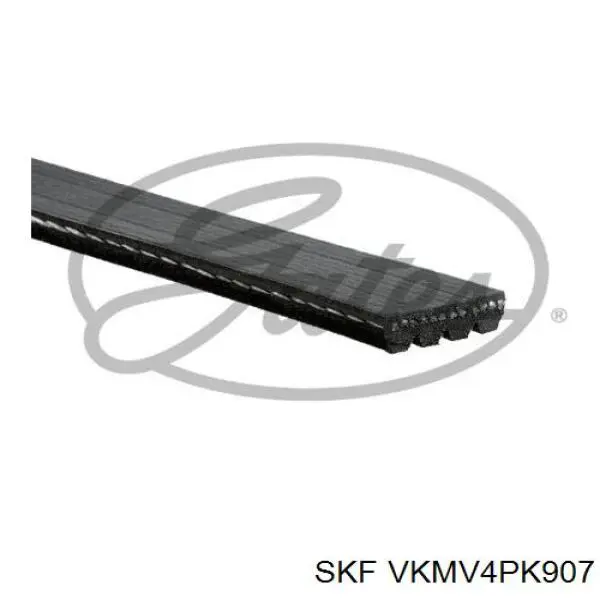 VKMV4PK907 SKF correa trapezoidal