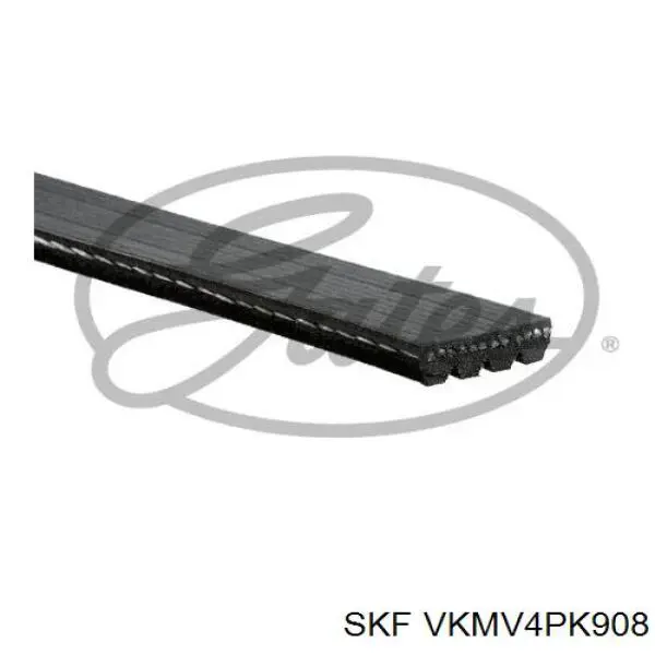 VKMV4PK908 SKF correa trapezoidal