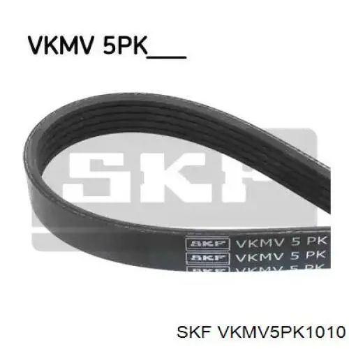 VKMV 5PK1010 SKF correa trapezoidal