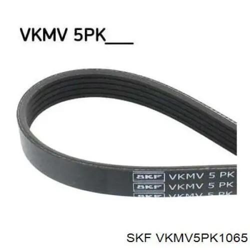 VKMV 5PK1065 SKF correa trapezoidal