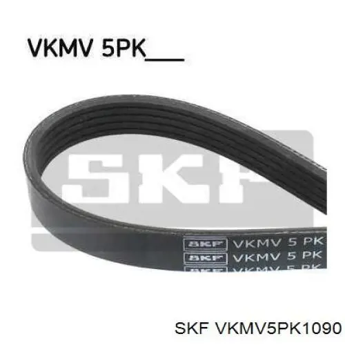 VKMV5PK1090 SKF correa trapezoidal