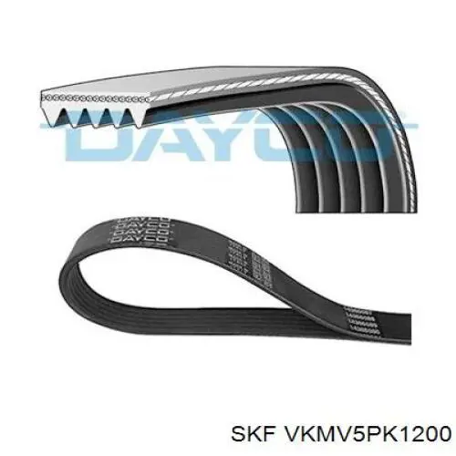 VKMV 5PK1200 SKF correa trapezoidal