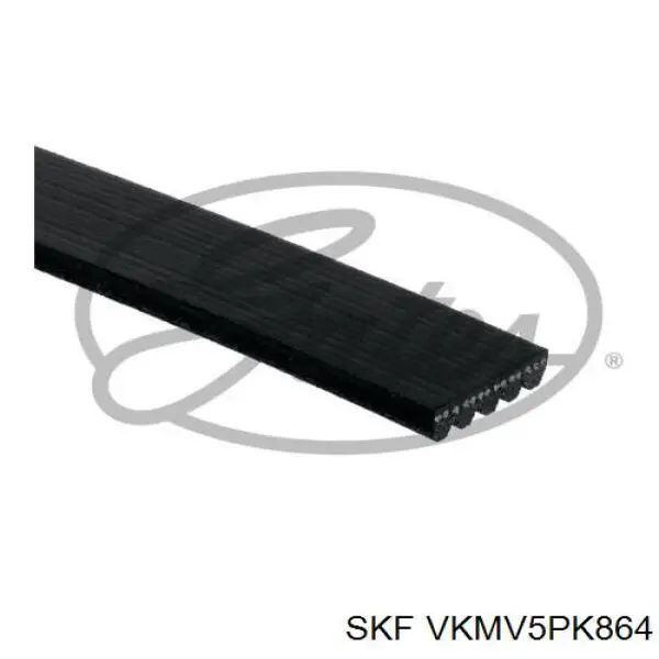 VKMV5PK864 SKF correa trapezoidal