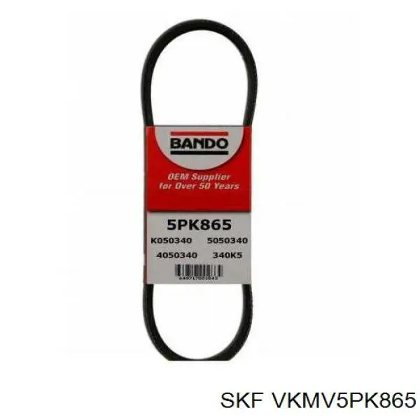 VKMV5PK865 SKF correa trapezoidal