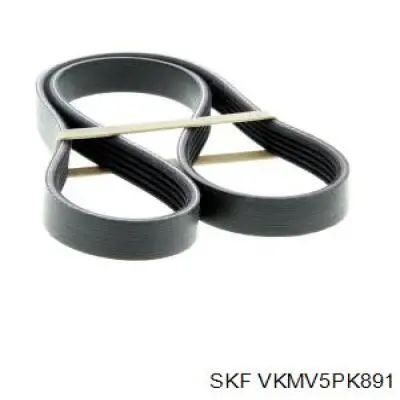 VKMV5PK891 SKF correa trapezoidal