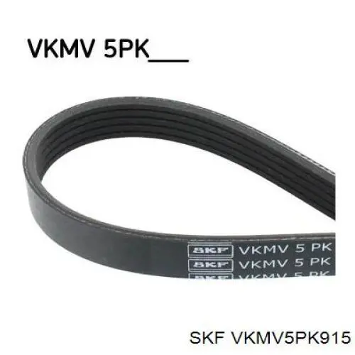 VKMV 5PK915 SKF correa trapezoidal