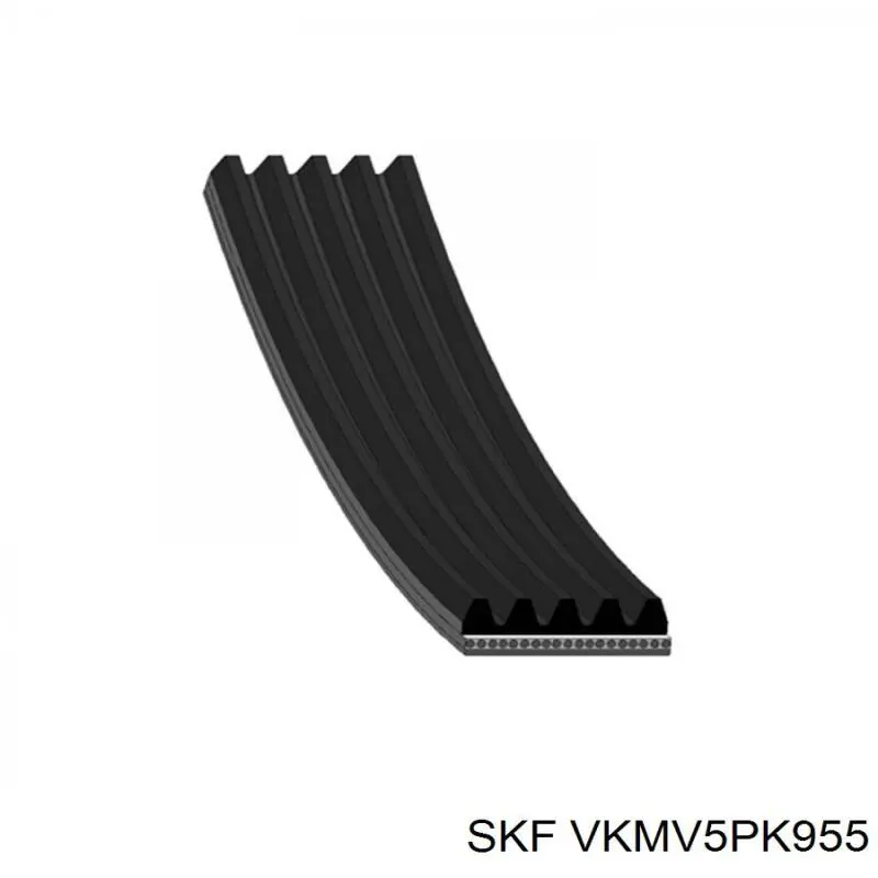 VKMV5PK955 SKF correa trapezoidal