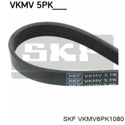 VKMV 6PK1080 SKF correa trapezoidal