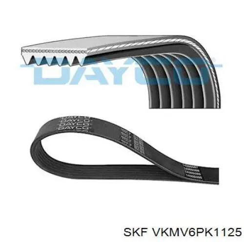 VKMV6PK1125 SKF correa trapezoidal