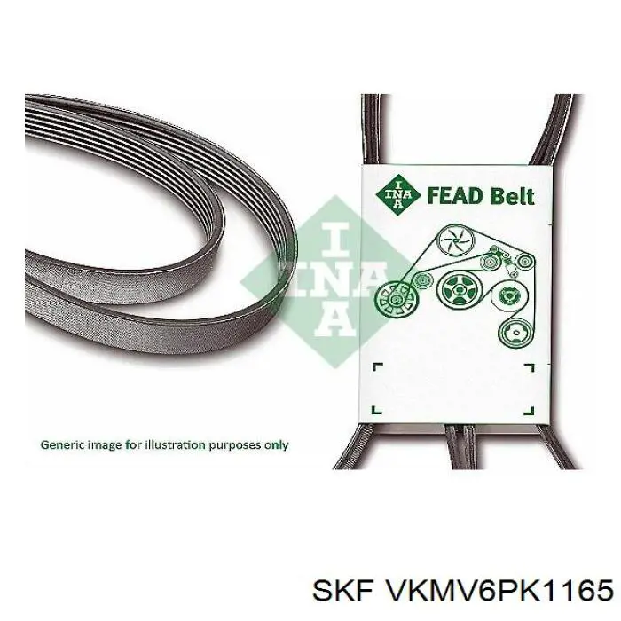 VKMV 6PK1165 SKF correa trapezoidal