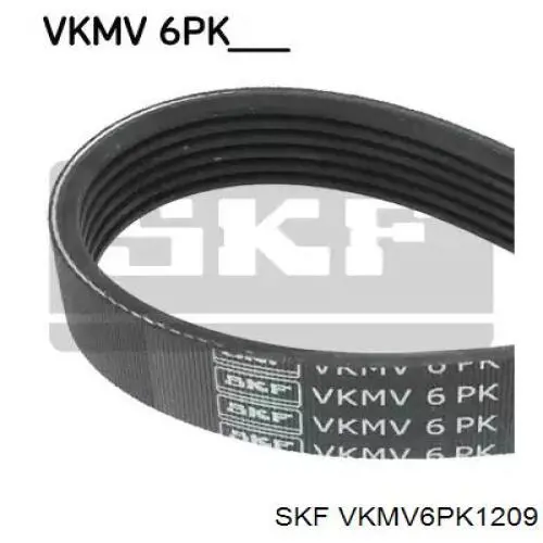 VKMV 6PK1209 SKF correa trapezoidal