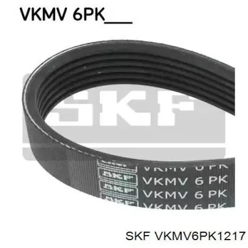 VKMV 6PK1217 SKF correa trapezoidal