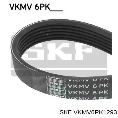 VKMV 6PK1293 SKF correa trapezoidal