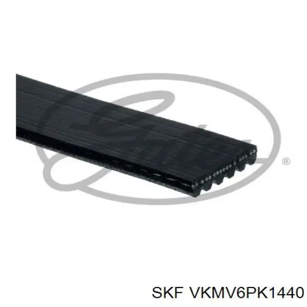 VKMV 6PK1440 SKF correa trapezoidal