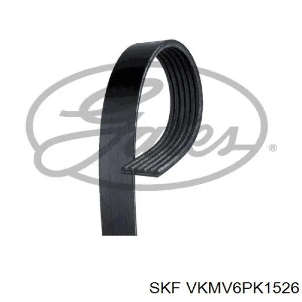 VKMV6PK1526 SKF correa trapezoidal