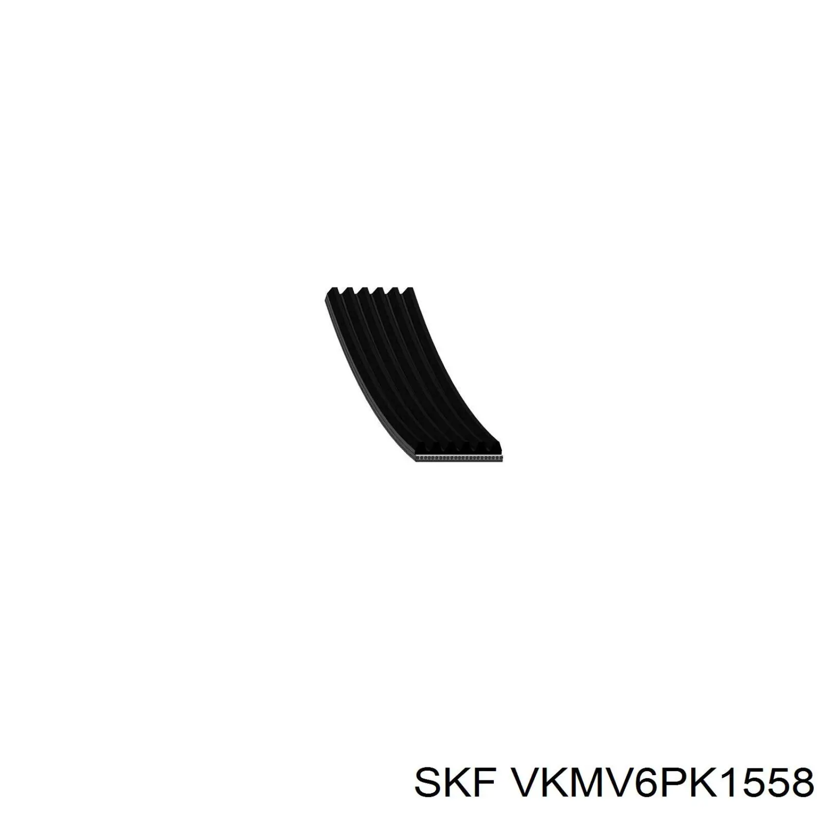 VKMV 6PK1558 SKF correa trapezoidal