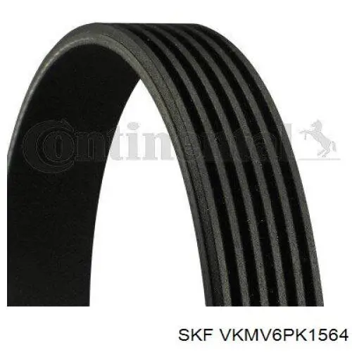 VKMV 6PK1564 SKF correa trapezoidal