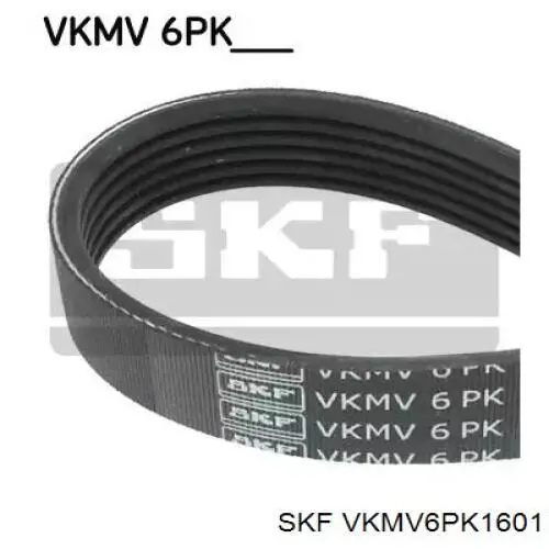 VKMV 6PK1601 SKF correa trapezoidal