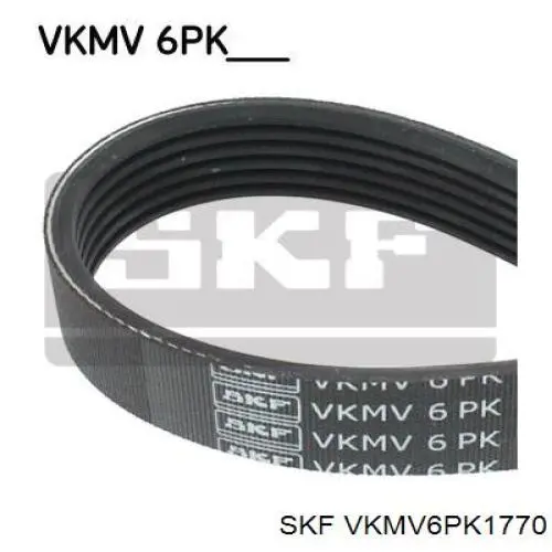 VKMV6PK1770 SKF correa trapezoidal