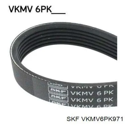 VKMV6PK971 SKF correa trapezoidal