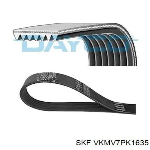 VKMV7PK1635 SKF correa trapezoidal