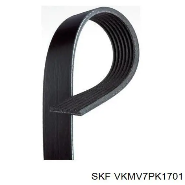 VKMV7PK1701 SKF correa trapezoidal