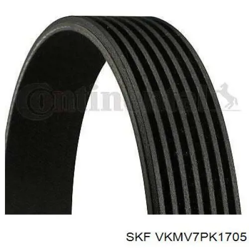 VKMV 7PK1705 SKF correa trapezoidal