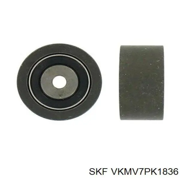 VKMV7PK1836 SKF correa trapezoidal