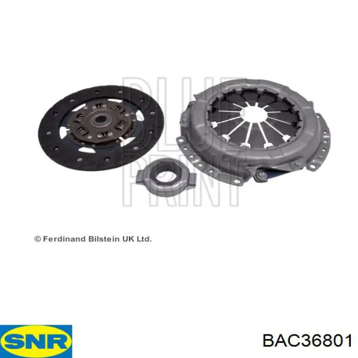 BAC368.01 SNR cojinete de desembrague