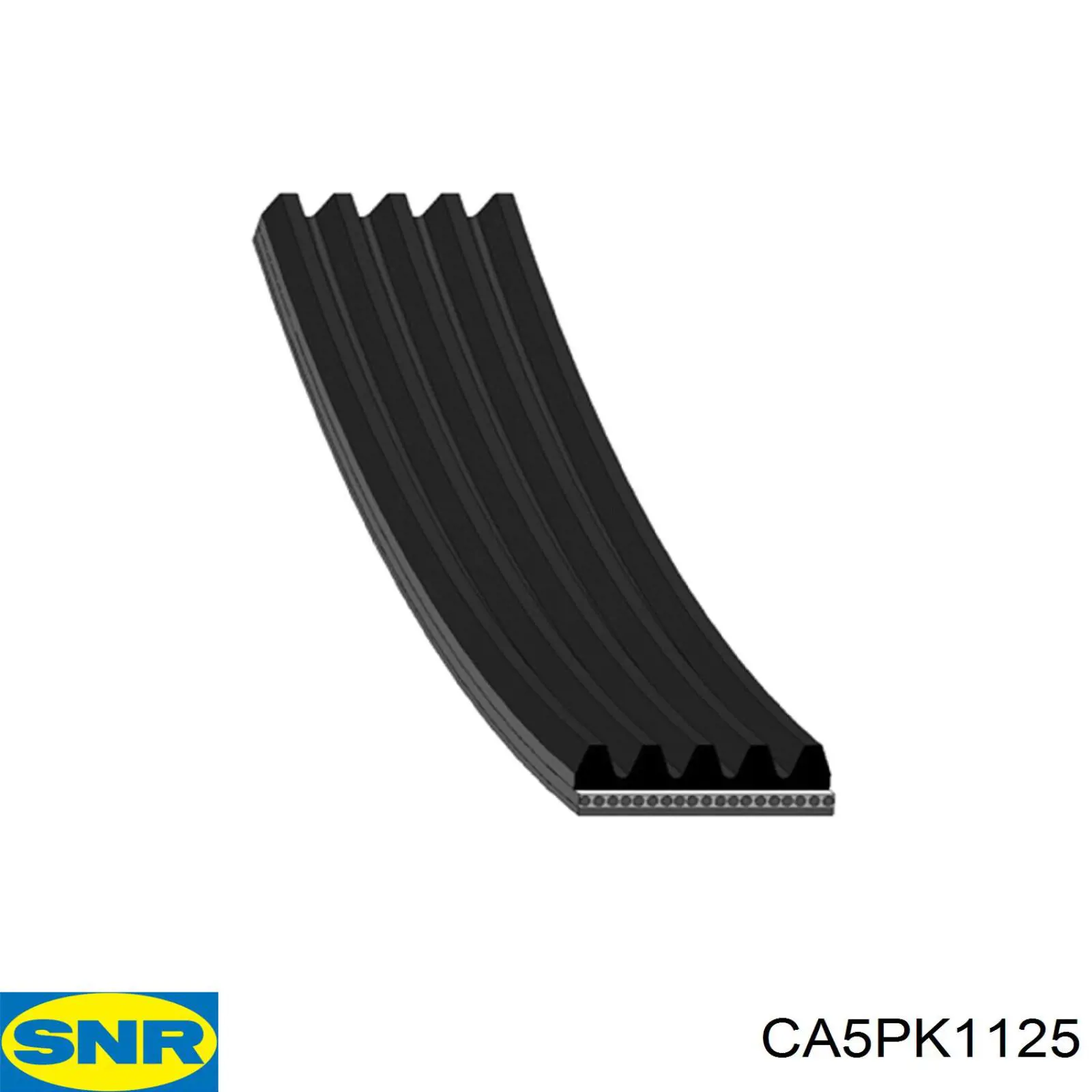 CA5PK1125 SNR correa trapezoidal